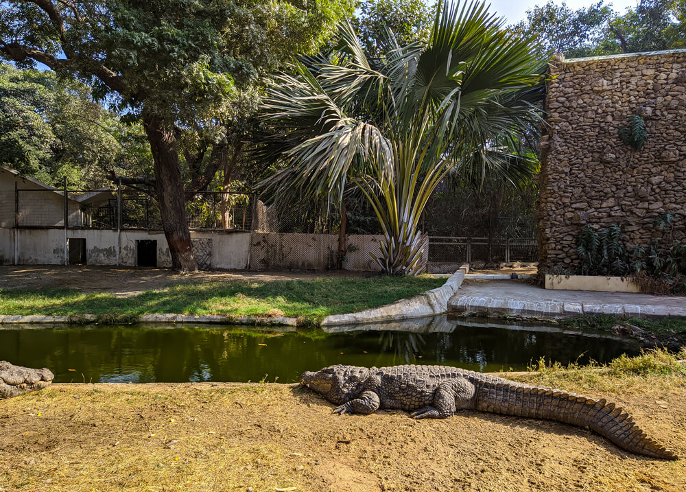 Karachi Zoo