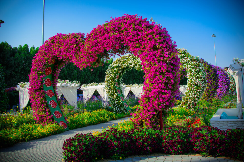 MIRACLE GARDEN