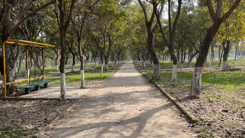 Kachnar Park

